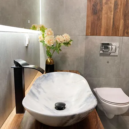 Appartement Gold - Podziemny Garaz Blisko Stadionu I Lotniska - Wygoda, Styl I Komfort Poznań